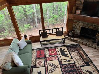 Endless Views Cabin - 1