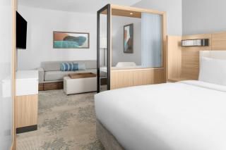 SpringHill Suites by Marriott Grand Island - Grand Island - 6