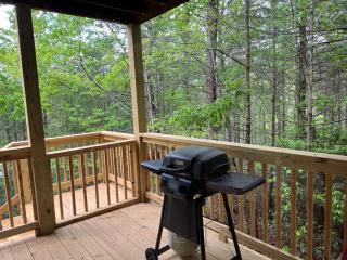 Endless Views Cabin - 4