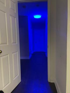 Largest ensuite bedroom in a guest house - 9