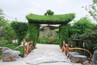 Khu DL ST Cánh Đồng Vàng - 8