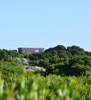 Anasa - Dolphin Sands - 4