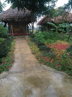 Cuc Phuong Bungalow - Nho Quan - 7