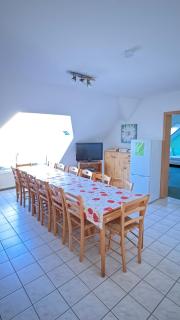 Pension auf dem Pferdehof Gut Greppin - mit WLAN, Sitzecke, Garten & kostenlosem Parken - Greppin - 1