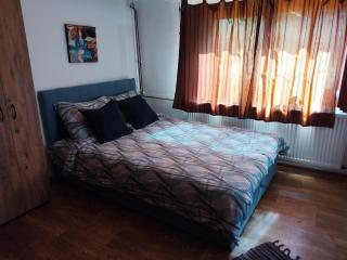Apartman Vrh 88 - Vrnjačka Banja - 1