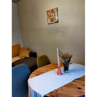 Apartman Vrh 88 - Vrnjačka Banja - 9