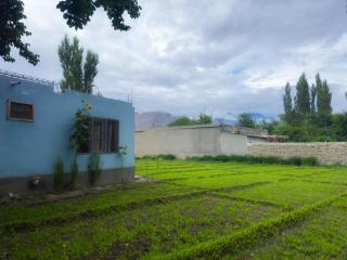 SkyPeak Skardu Guest House - 8