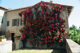 La Corte Bonomini - Neviano degli Arduini - 1