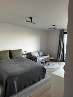 Lake Apartment - Văleni - 8