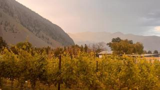 Spacious Getaway Two Homes on a Tranquil Vineyard Ideal for Large Groups - Keremeos - 7