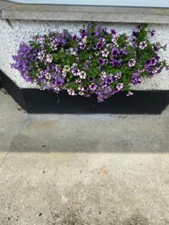 Farnagh House - En Suite Bedrooms - Moate - 9