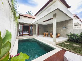 Davaya Villas Ubud - 9