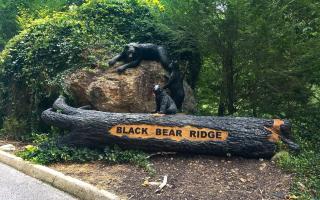 Jennies Cove - Pigeon Forge - 5