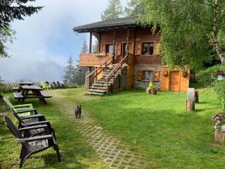 Chalet Tannenduft - Bettmeralp - 0