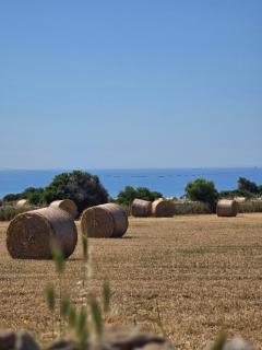 BəSicilian alloggi vacanze ex BB Camemi - 5