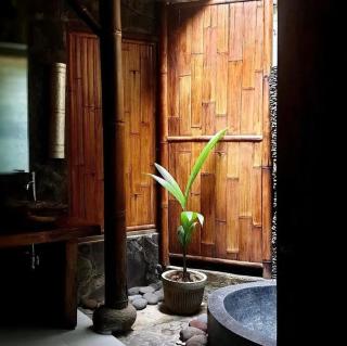 Gaia Retreat Center - 2