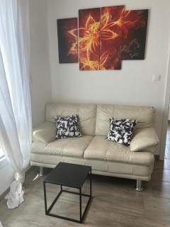 Ganzes Haus in Basel Leymen Tiere willkommen - 1