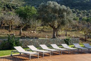 Agroturismo S'Arboçar - Sant Llorenç des Cardassar - 3
