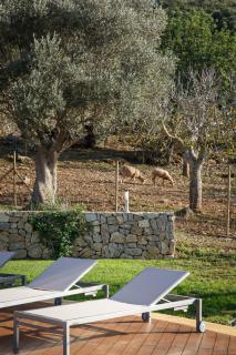Agroturismo S'Arboçar - Sant Llorenç des Cardassar - 2