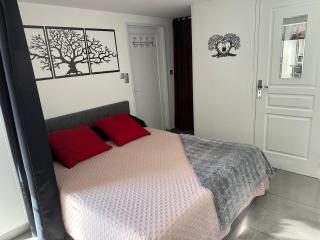 Dépendance de 45m2 à louer - Saint-Vite - 7