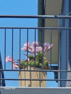 Apartament Górski z basenem - Raba Wyżna - 6
