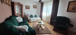 Vintage Central Apartament - Târgu Jiu - 9