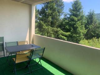La residence des feutres appartement 1 au Rdc - Gérardmer - 6