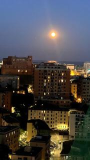 Holiday apartment Genoa near the center - Genova - 7