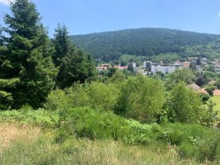 La residence des feutres appartement 1 au Rdc - Gérardmer - 9