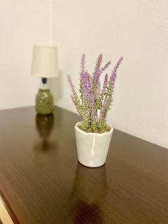 Garsoniera ultracentrală - Piteşti - 8