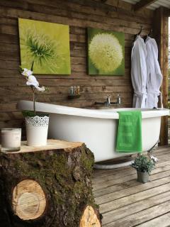 Monart Farm Lodge - Milehouse - 5