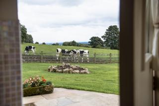 Winsbury Cottage - West Hauxwell - 8