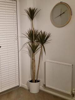 Home Like Yours In Grays, Essex - 2