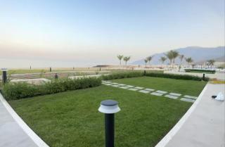 Night Moon - Muscat - 3