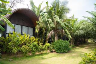 Pamela Retreat - Sơn Tây - 7
