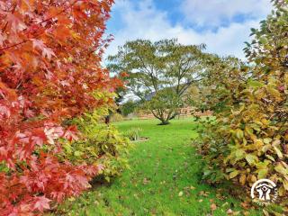 La Maison de la pêche - 4