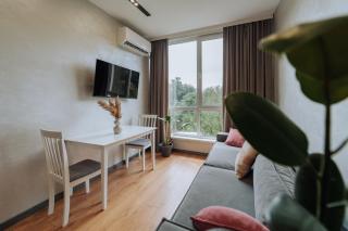 Quiet 1BR Retreat 2min to Transit and Shops - Chişinău - 5