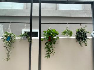 Lighting Villa OCP - Ocean Park Full tiện nghi View đẹp - 9