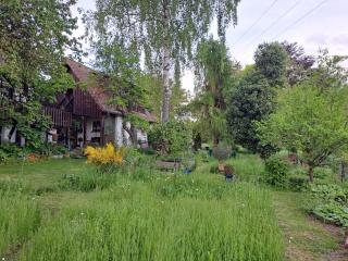 Ferienwohnung Vogelnest - Betzenstein - 2