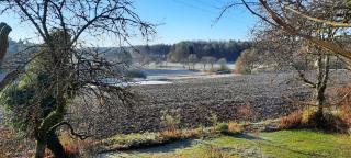 Ferienwohnung Vogelnest - 2