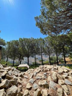 Pineland Hotel and Health Resort - Ḩammānā - 9