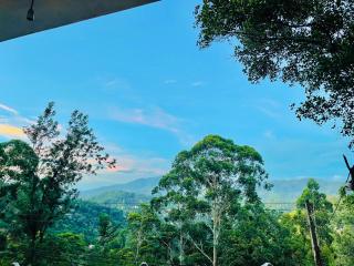 Pleasant View Ella - 7