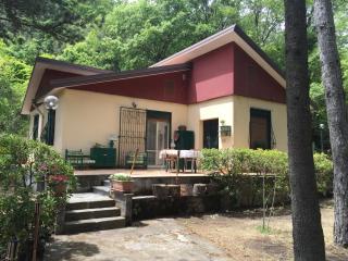 Chalet Serra Pizzuta - Nicolosi - 0