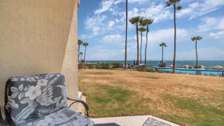 Sonoran Sea - 9