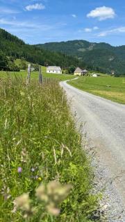 Das Steirer-Nest - Sankt Lambrecht - 6