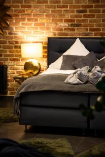 Golden Eye Suite - Saint-Vith - 1