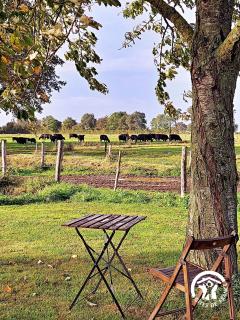 GITE LE PLESSIS - - 2