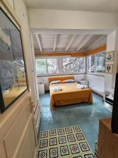 Cala Grande Villa nel bosco - 1