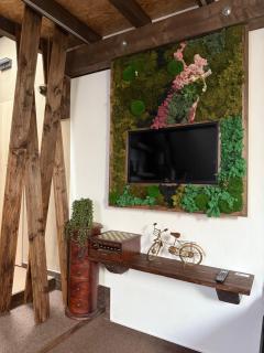Apartment in a beautiful garden - Pardubice - 3