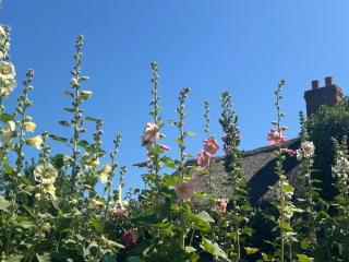 Batts Cottage - Country Retreat - 7